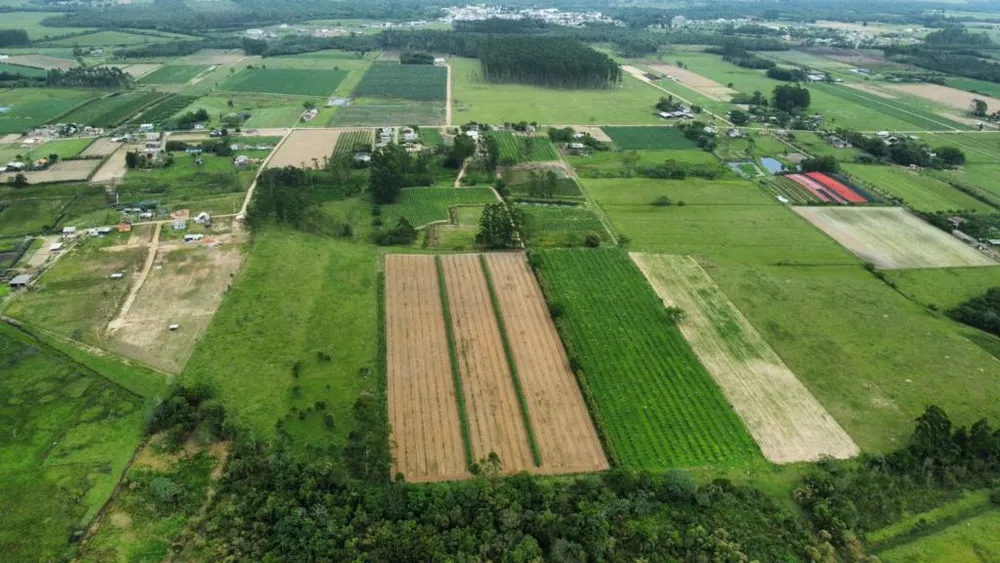 Sítio, 1 quarto, 19 hectares - Foto 2