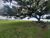Sítio, 1 quarto, 3 hectares - Foto 4