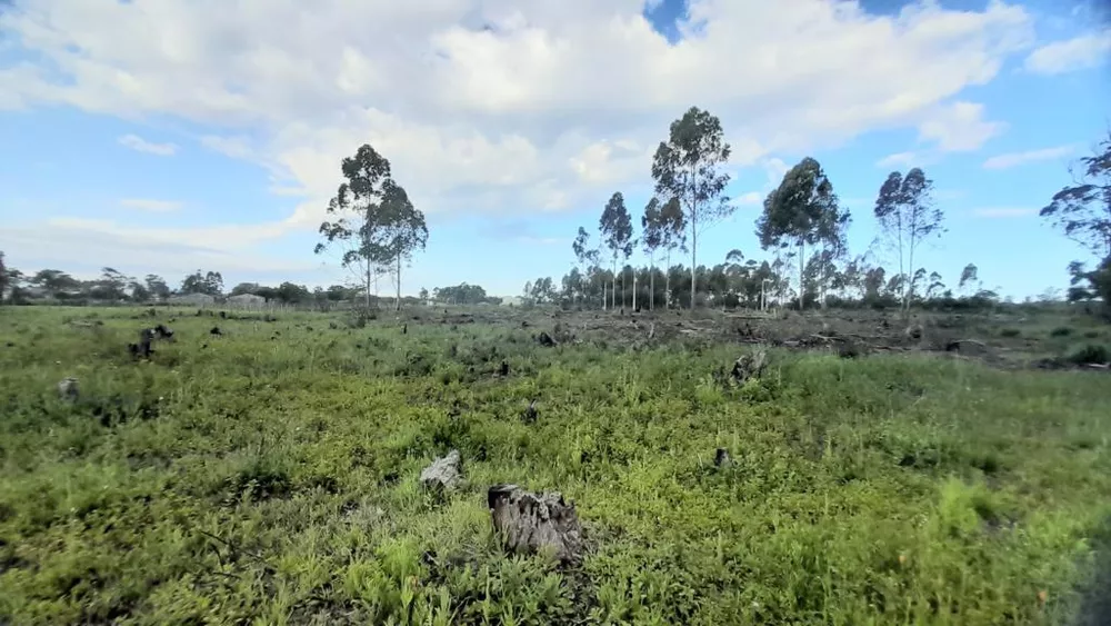 Terreno, 3092 m² - Foto 3