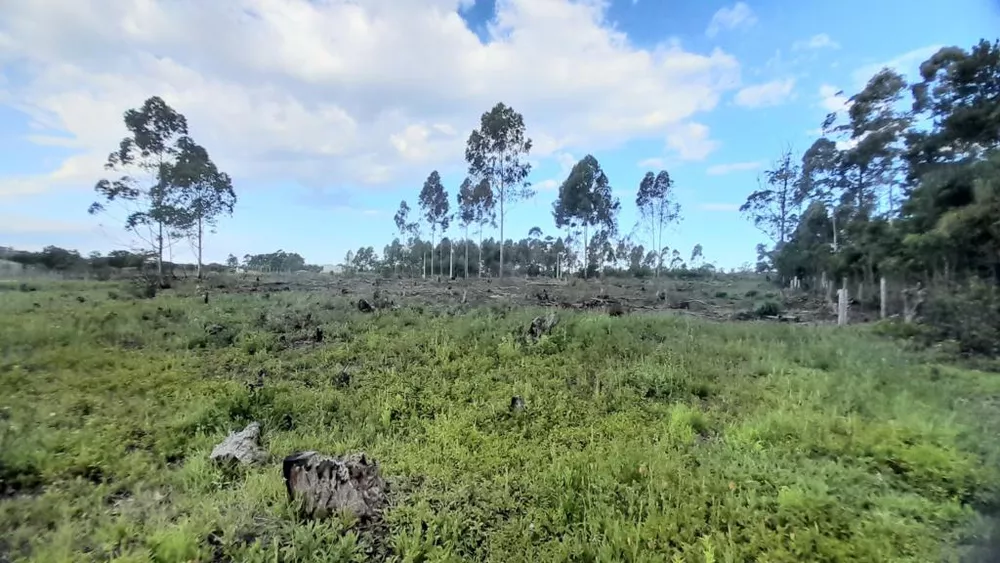 Terreno, 3092 m² - Foto 1