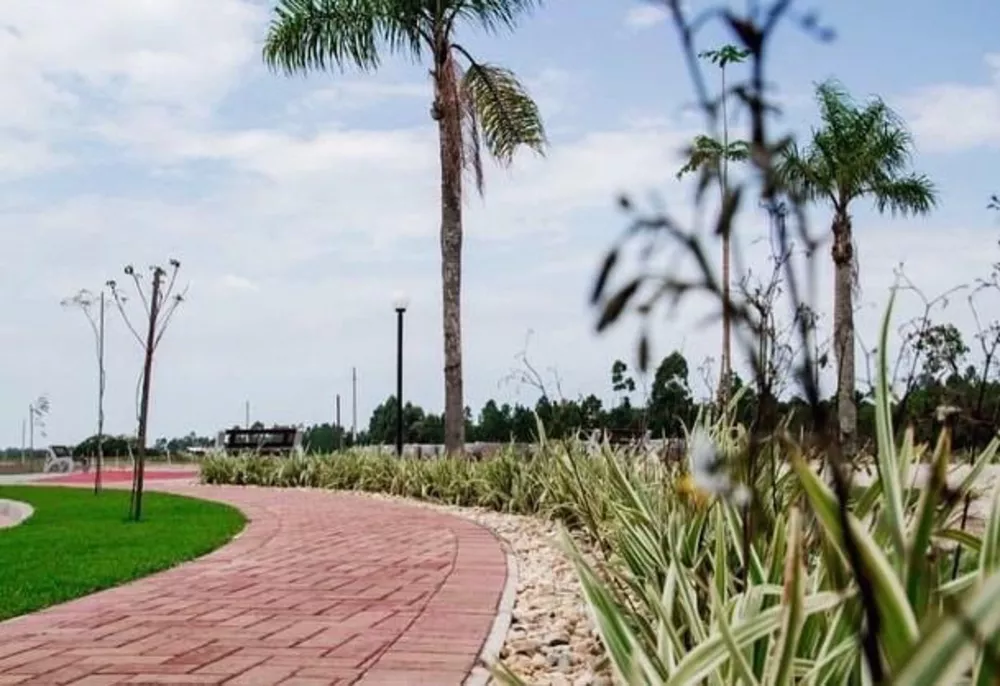 Terreno, 221 m² - Foto 4