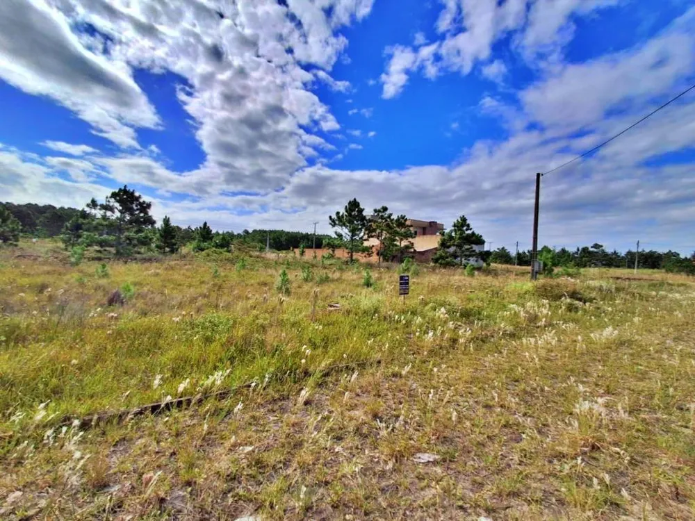 Terreno, 300 m² - Foto 6