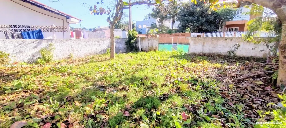 Terreno, 264 m² - Foto 9