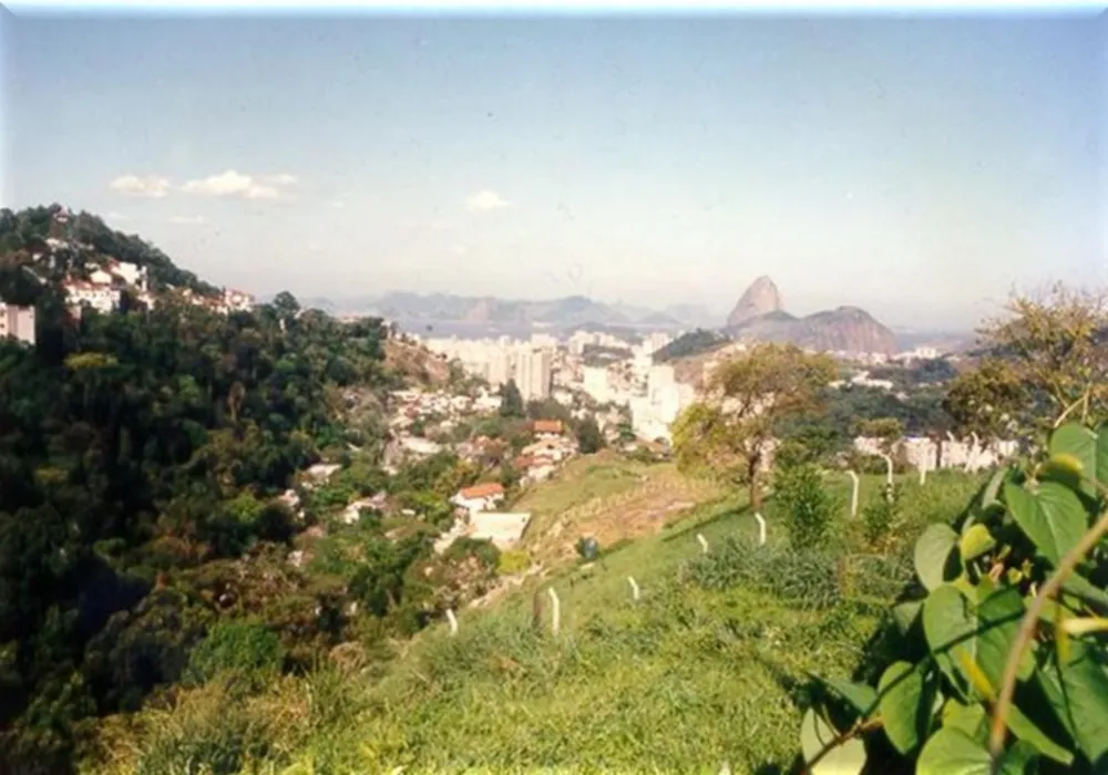 Terreno, 7 hectares - Foto 4