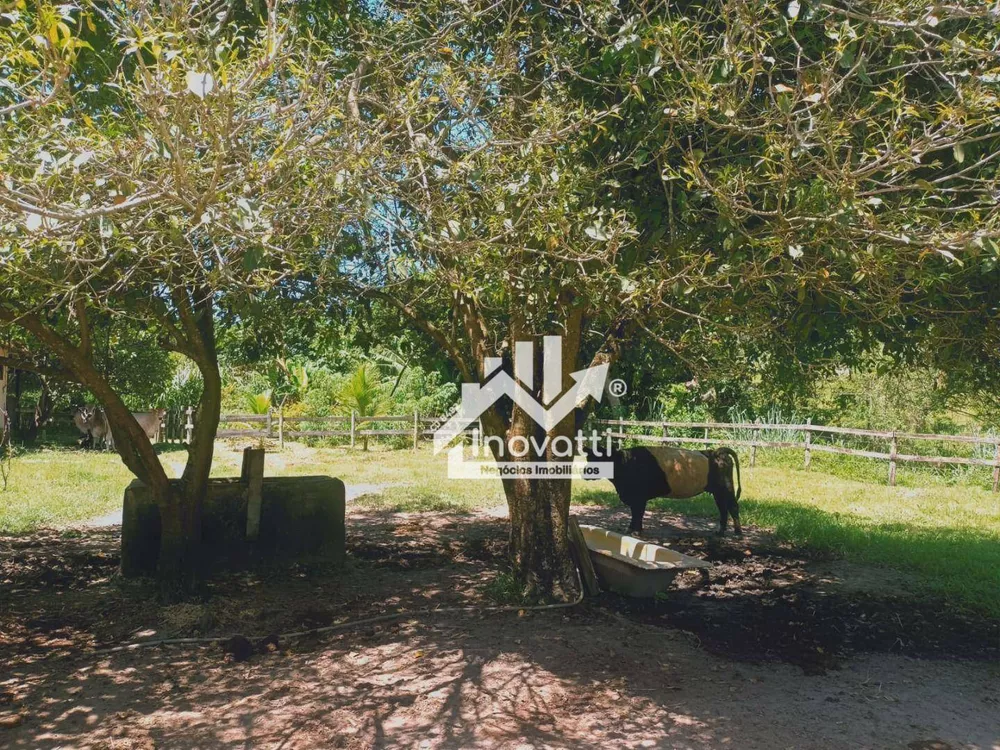 Sítio, 4 quartos, 2450 m² - Foto 42