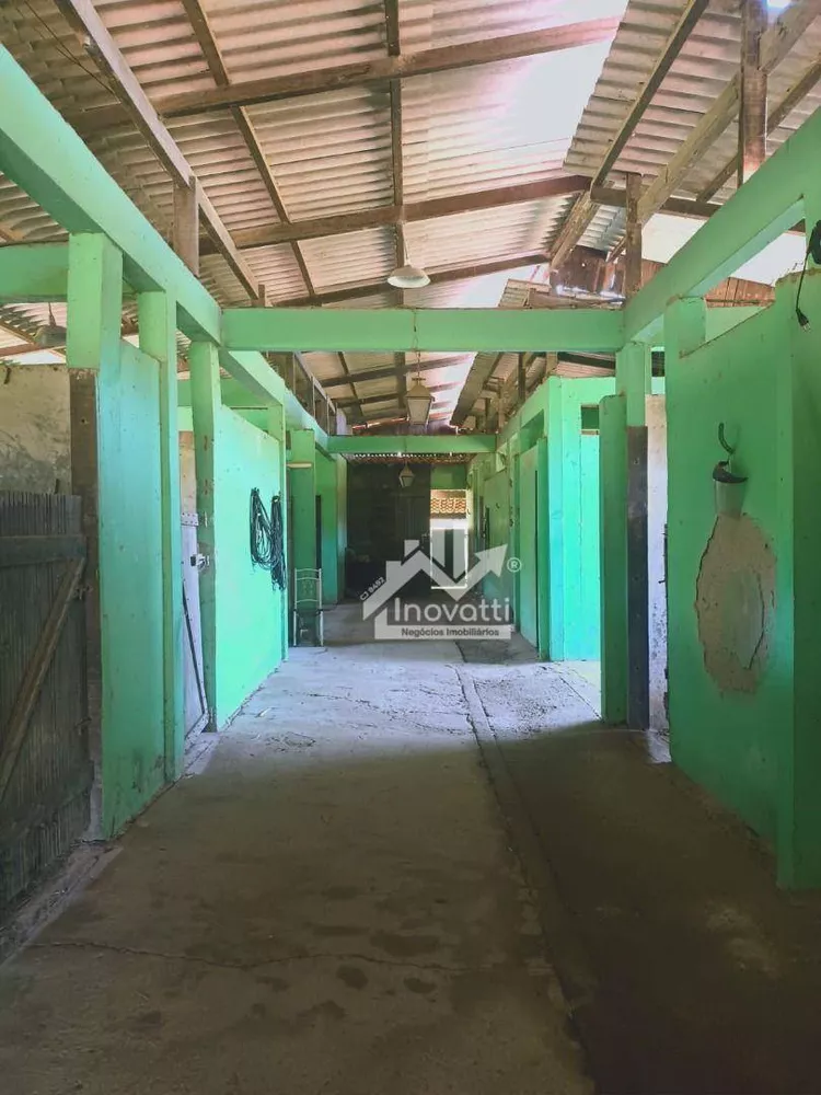 Sítio, 4 quartos, 2450 m² - Foto 12