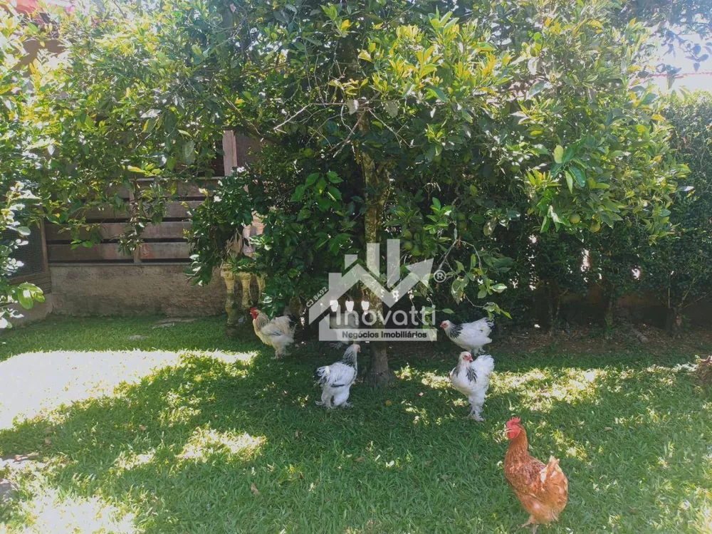 Sítio, 4 quartos, 2450 m² - Foto 19