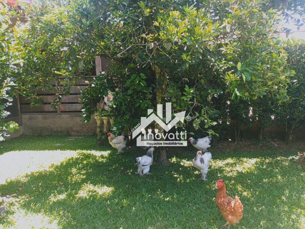 Sítio, 4 quartos, 2450 m² - Foto 69