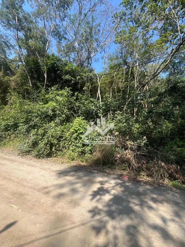 Terreno, 4360 m² - Foto 3