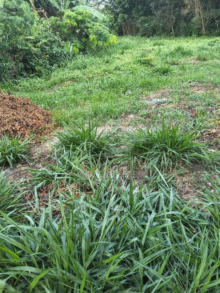Terreno, 540 m² - Foto 1