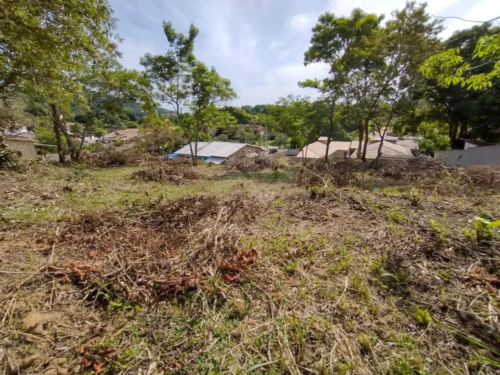 Terreno, 3170 m² - Foto 6