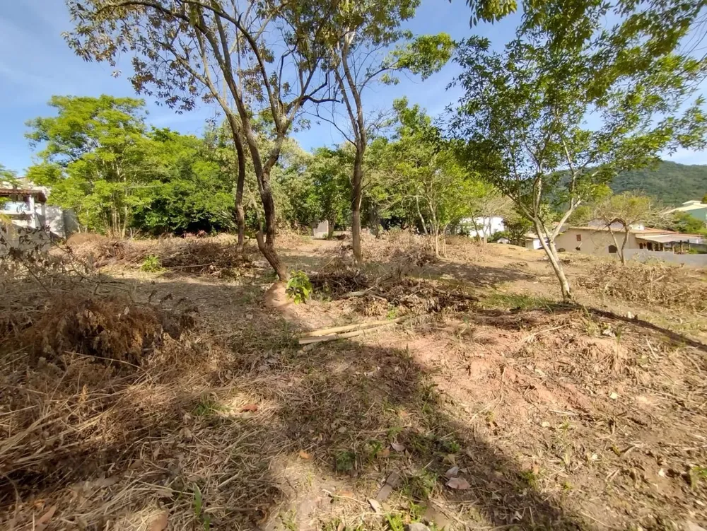Terreno, 3170 m² - Foto 3