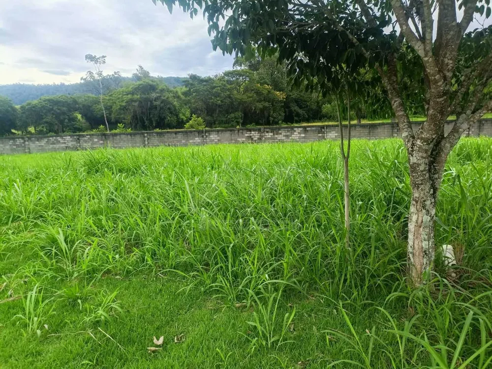 Terreno, 380 m² - Foto 4
