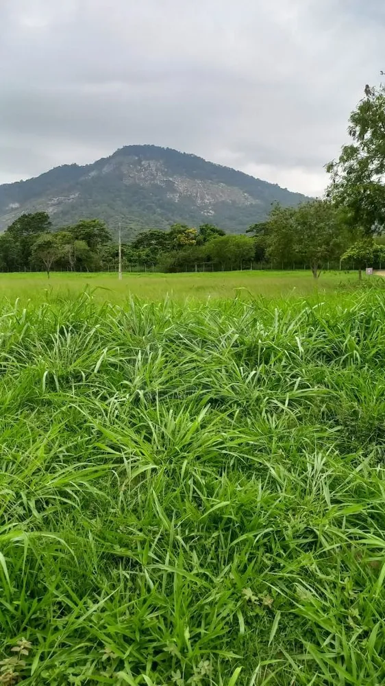 Terreno, 425 m² - Foto 3