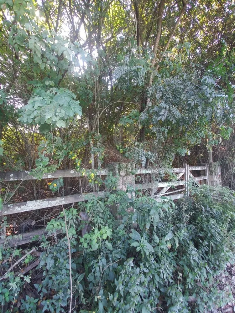 Terreno, 7886 m² - Foto 6