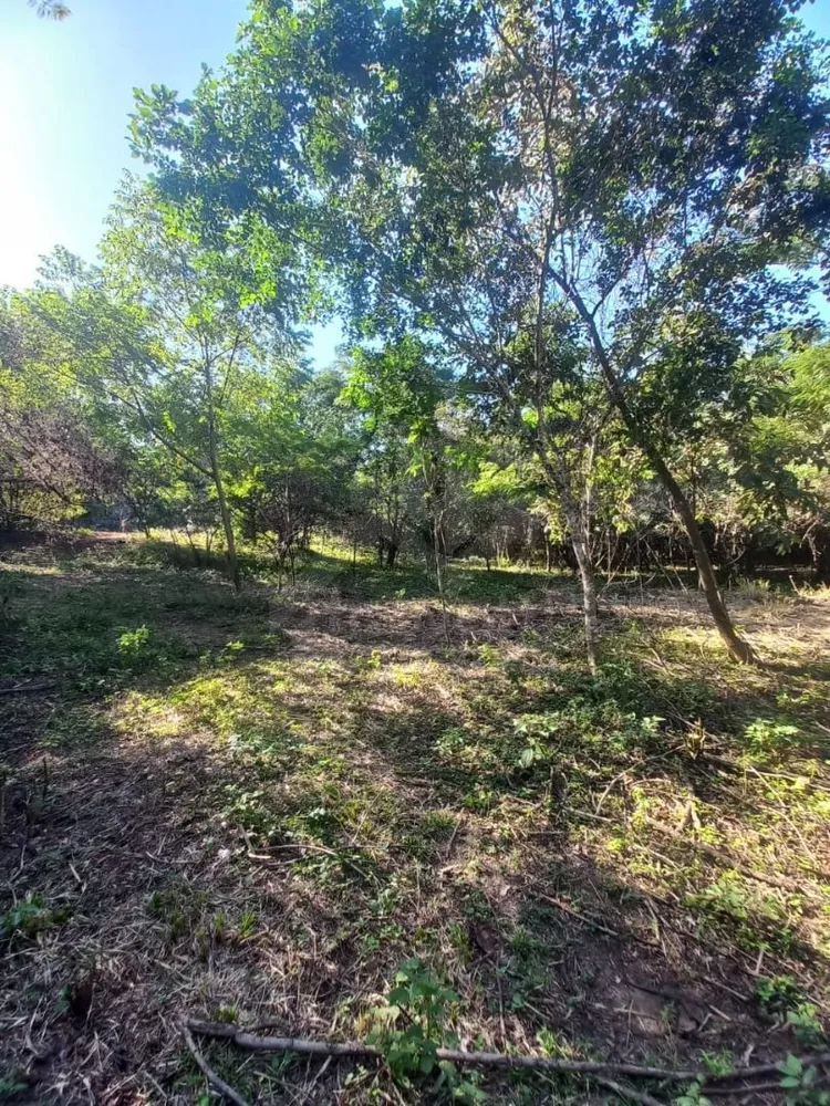 Terreno, 7707 m² - Foto 12