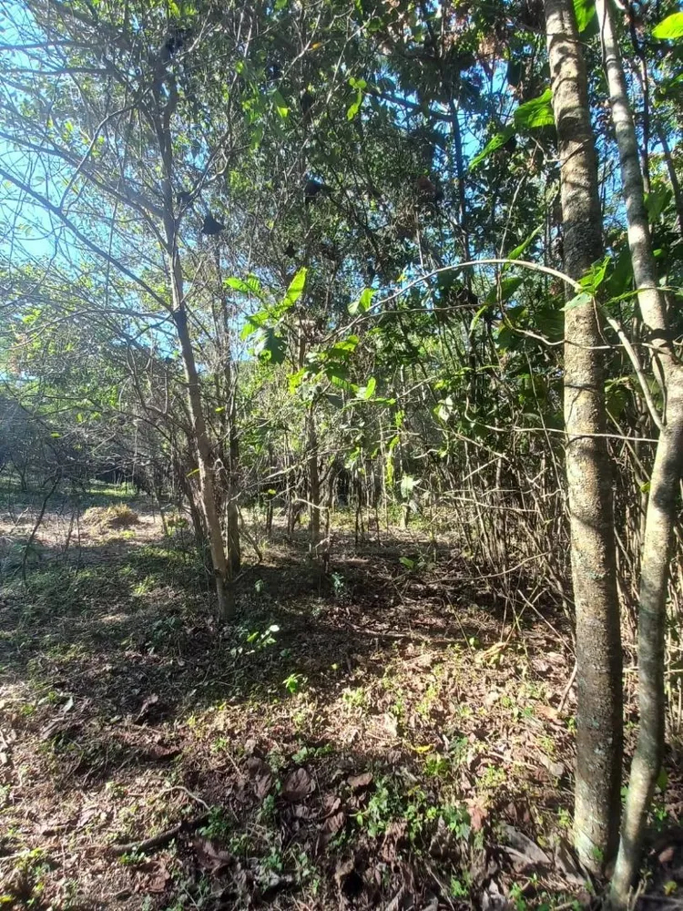 Terreno, 7707 m² - Foto 6