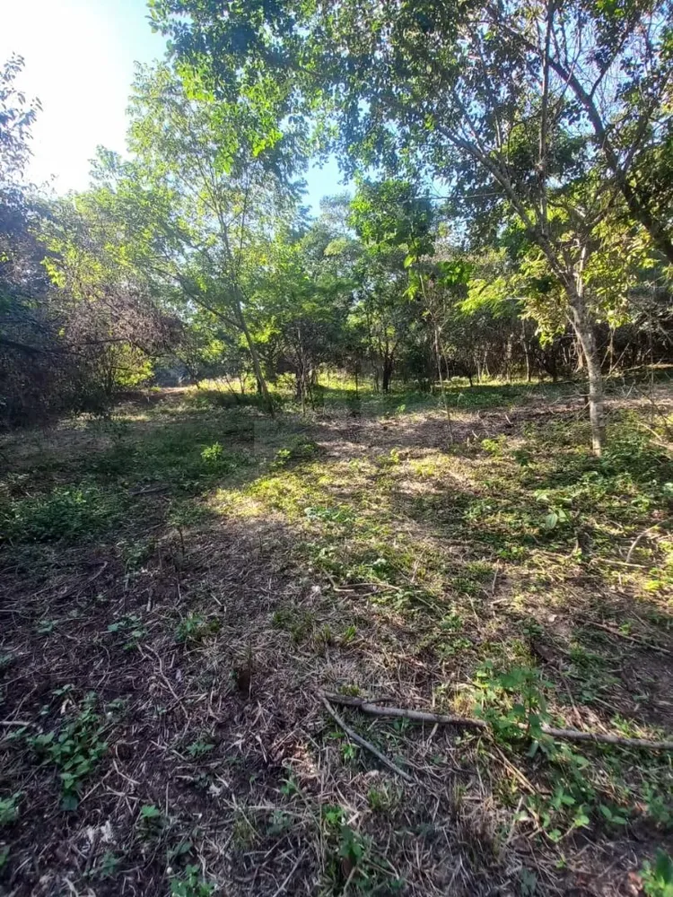 Terreno, 7707 m² - Foto 8