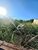 Terreno, 1620 m² - Foto 3
