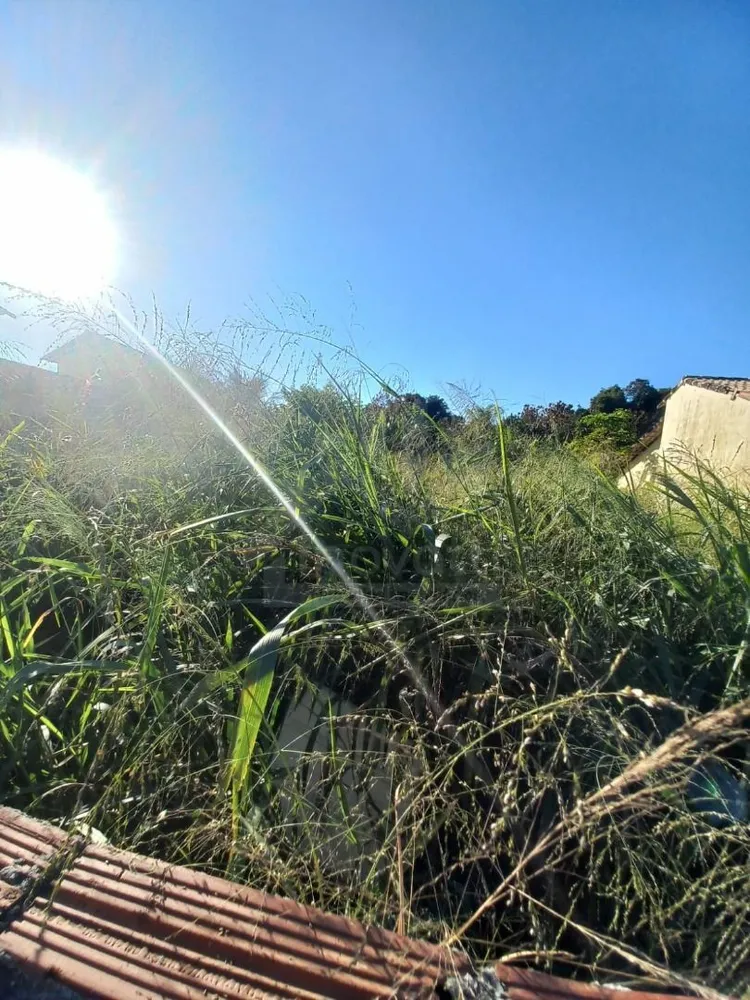 Terreno, 1620 m² - Foto 8