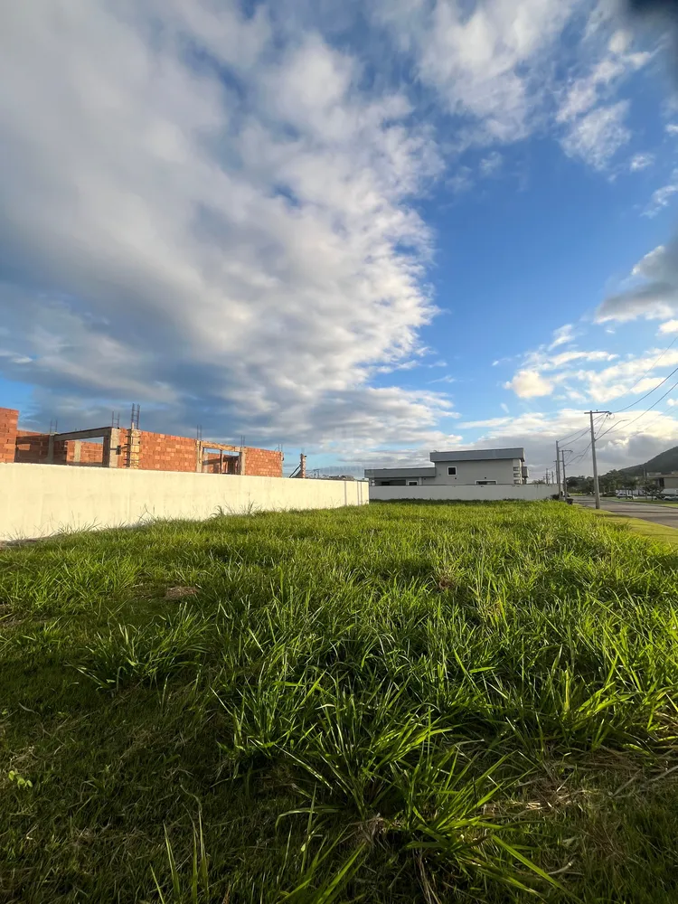 Terreno, 442 m² - Foto 3