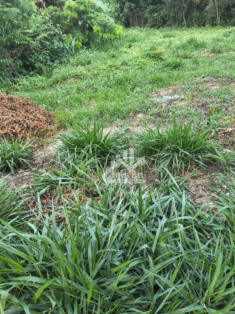 Terreno, 540 m² - Foto 2