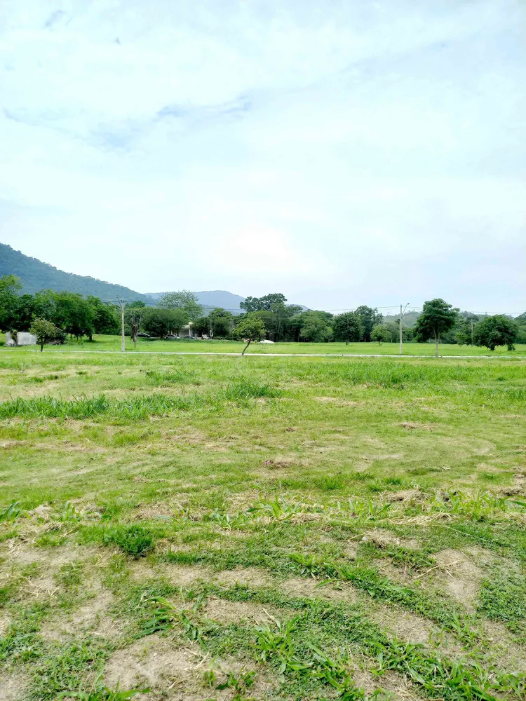 Terreno, 405 m² - Foto 6
