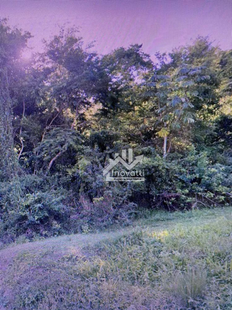 Terreno, 2 hectares - Foto 16