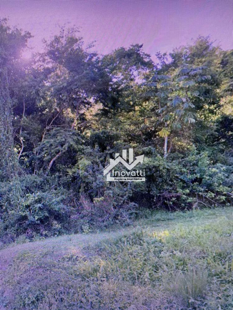 Terreno, 2 hectares - Foto 31