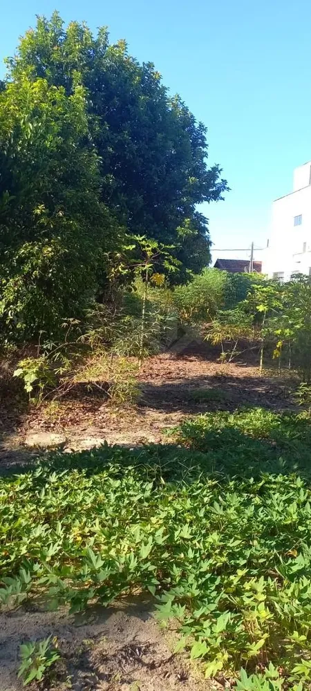 Terreno, 600 m² - Foto 6