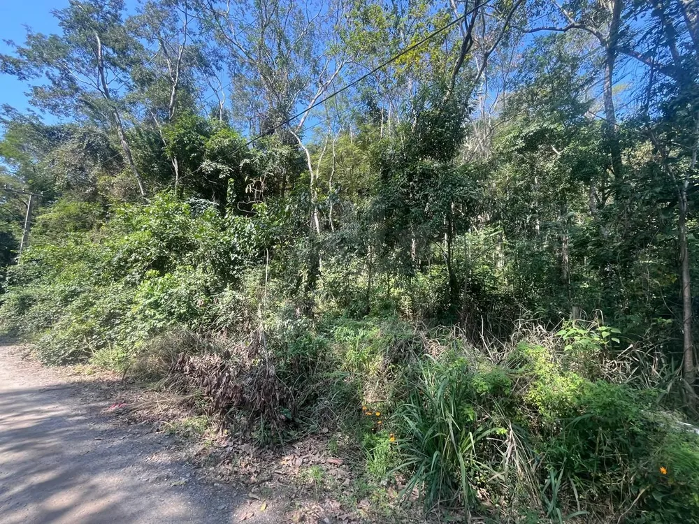 Terreno, 4360 m² - Foto 2