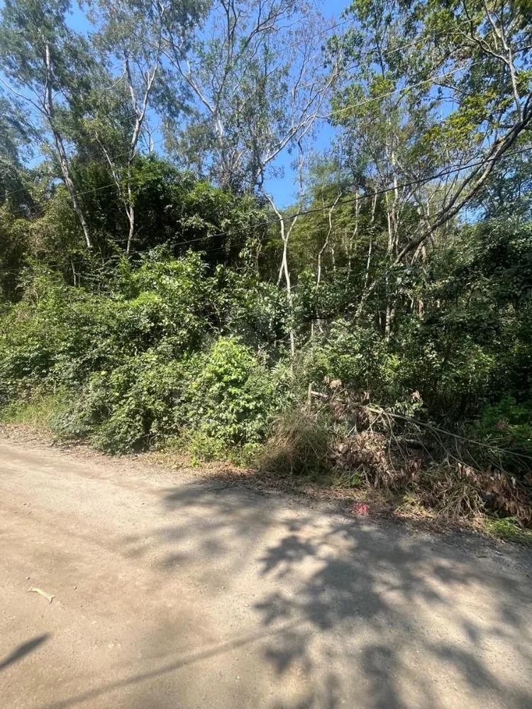 Terreno, 4360 m² - Foto 6