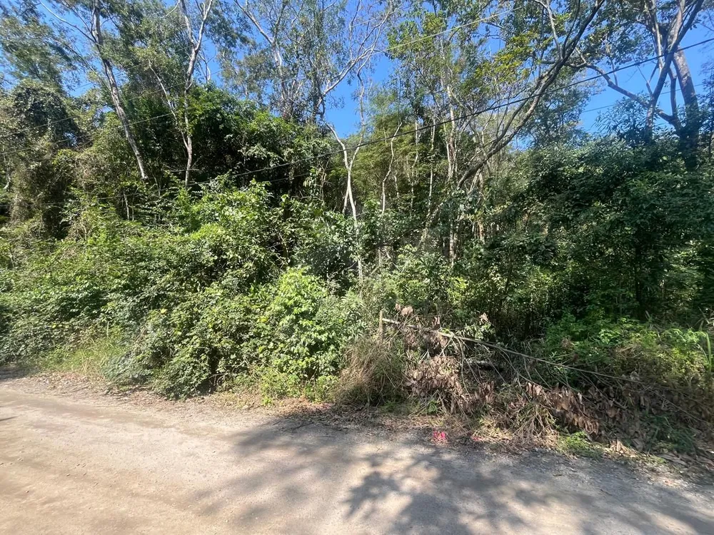 Terreno, 4360 m² - Foto 5