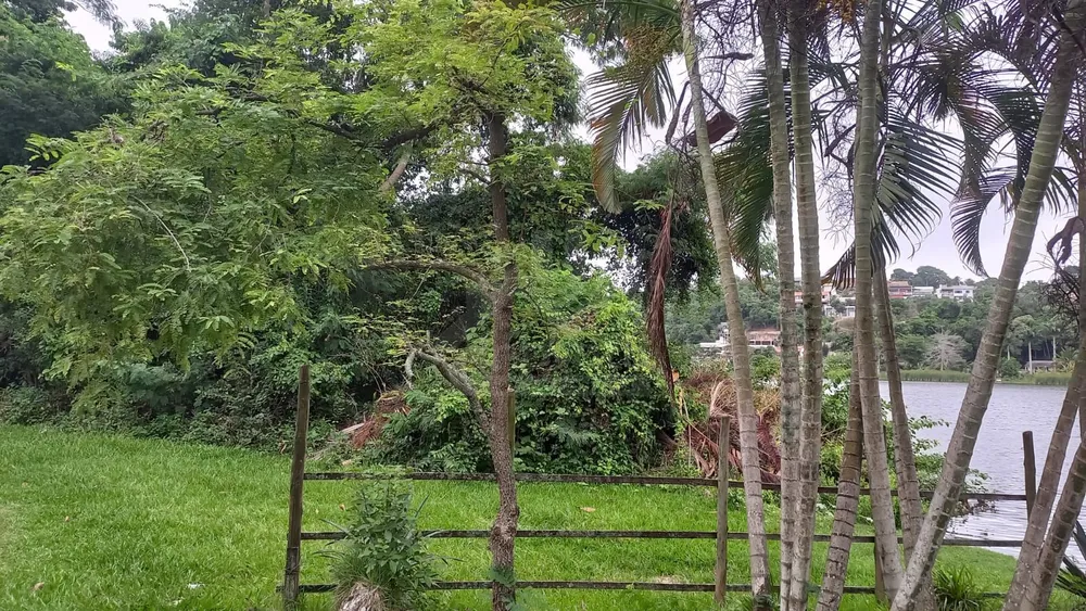 Casa, 4 quartos, 355 m² - Foto 4