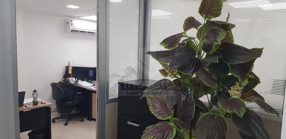 Loja-Salão, 320 m² - Foto 9