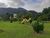 Loteamento e Condomínio, 360 m² - Foto 6