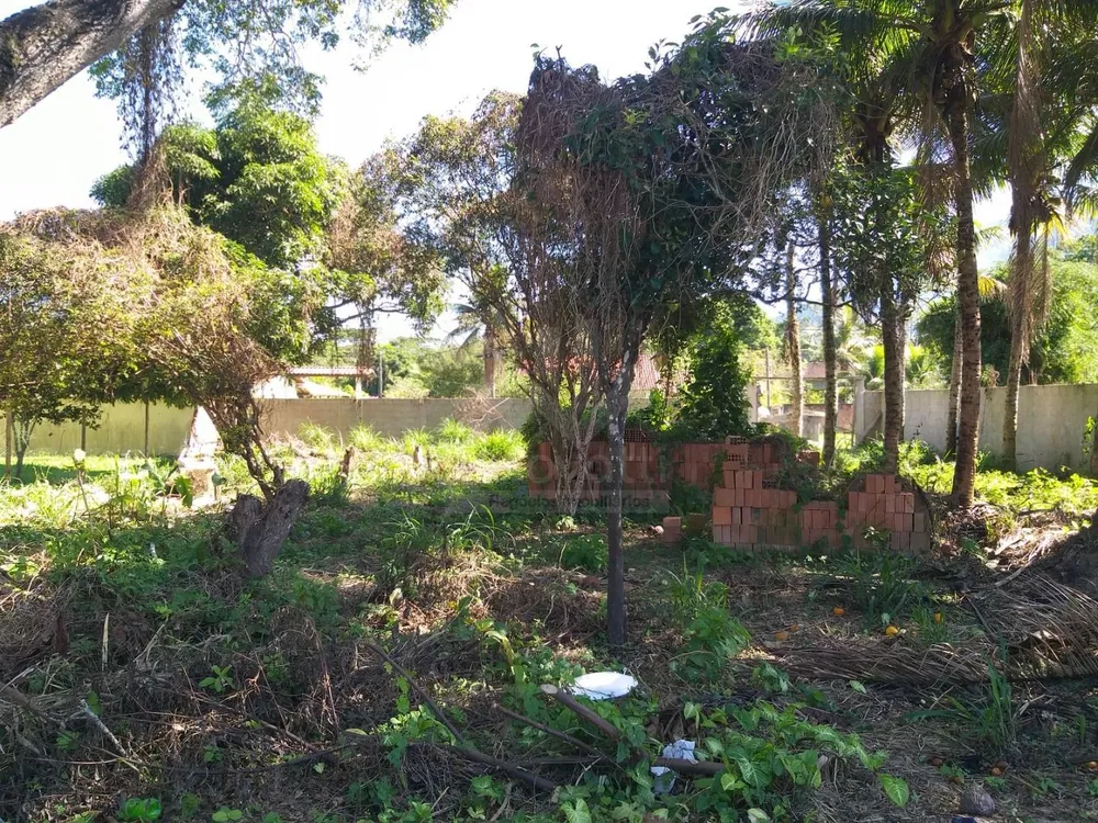 Terreno, 2000 m² - Foto 10
