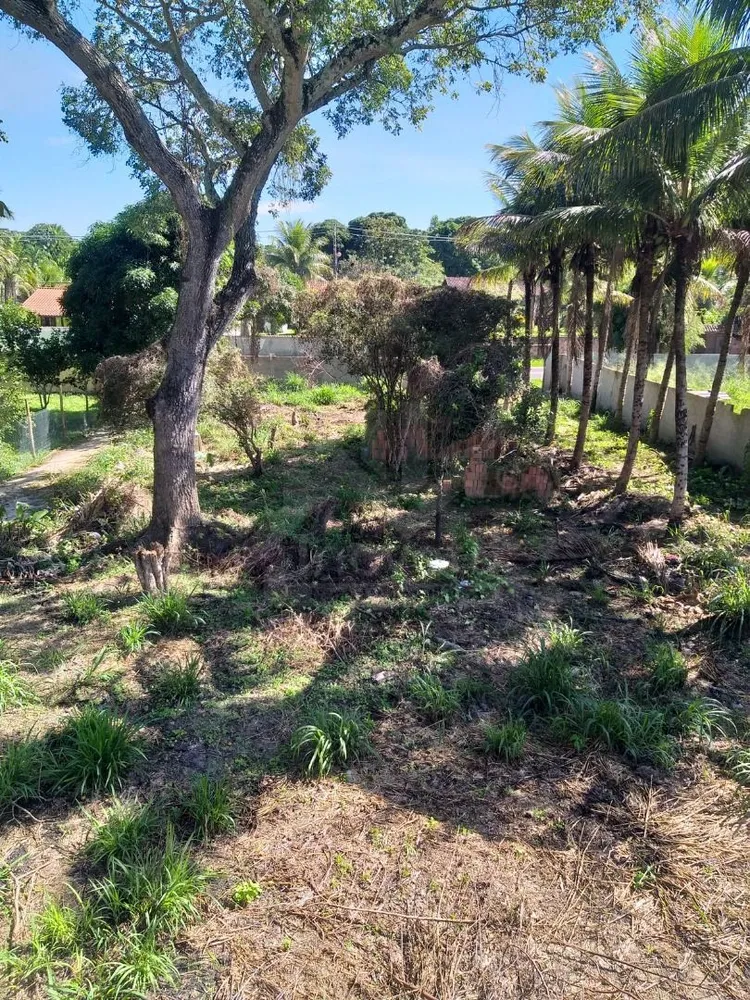 Terreno, 2000 m² - Foto 6