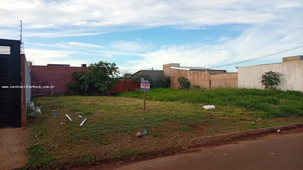 Terreno, 250 m² - Foto 3