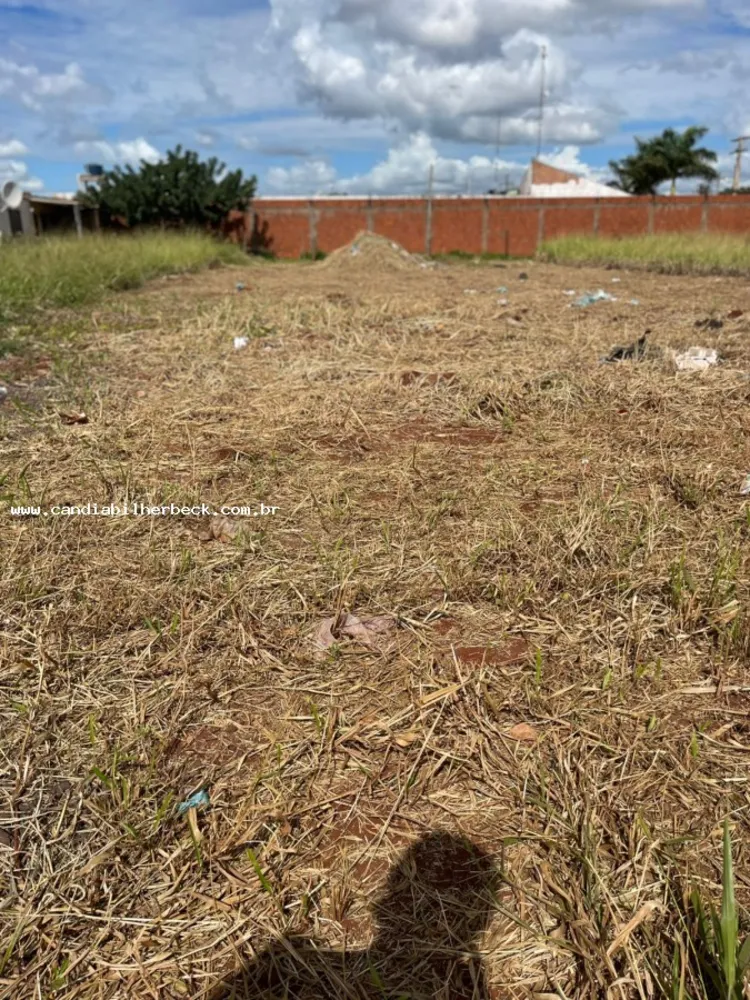 Terreno - Foto 4