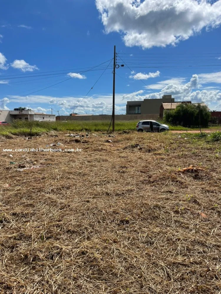 Terreno - Foto 3