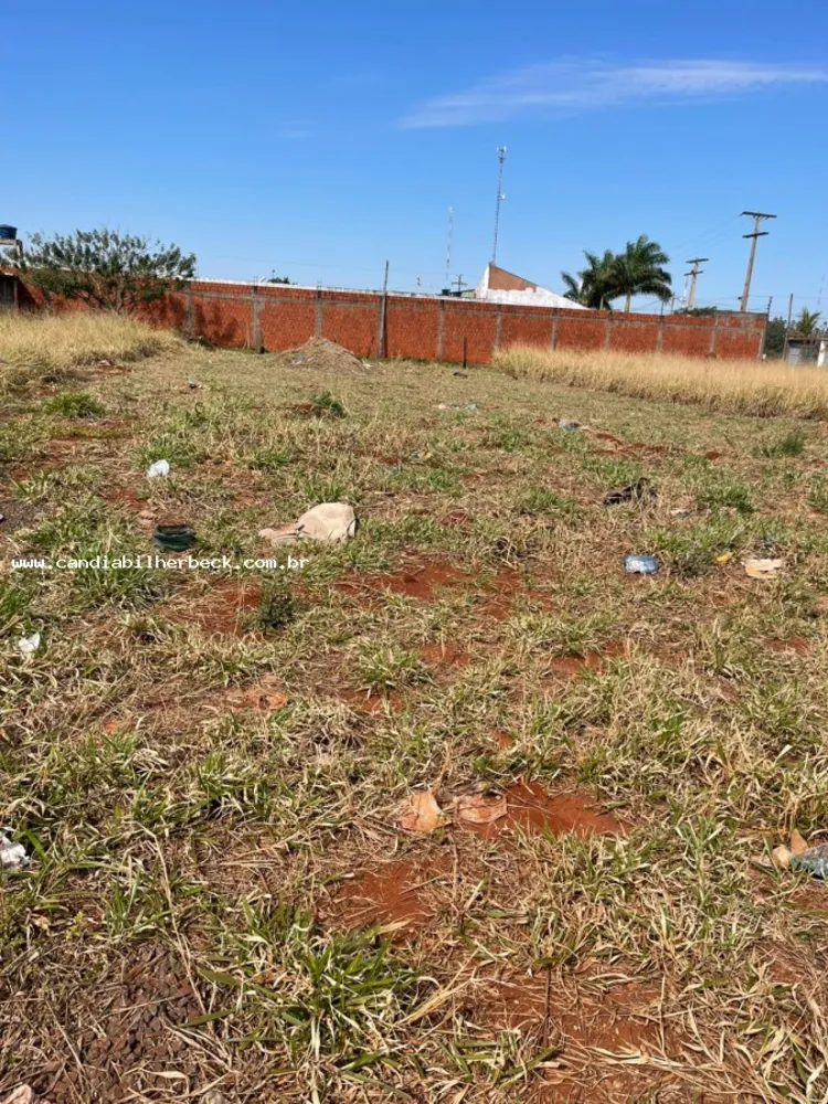 Terreno - Foto 7