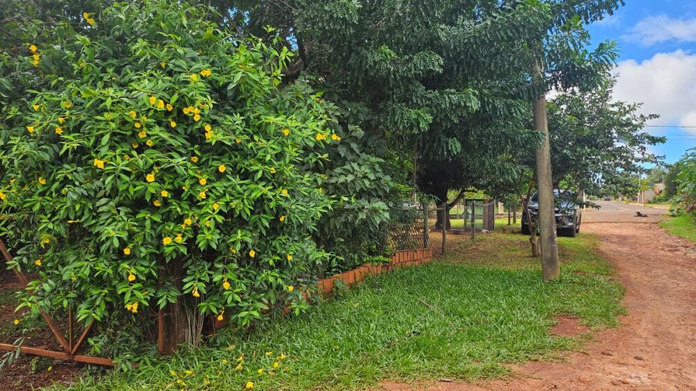 Chácara, 2 hectares - Foto 11