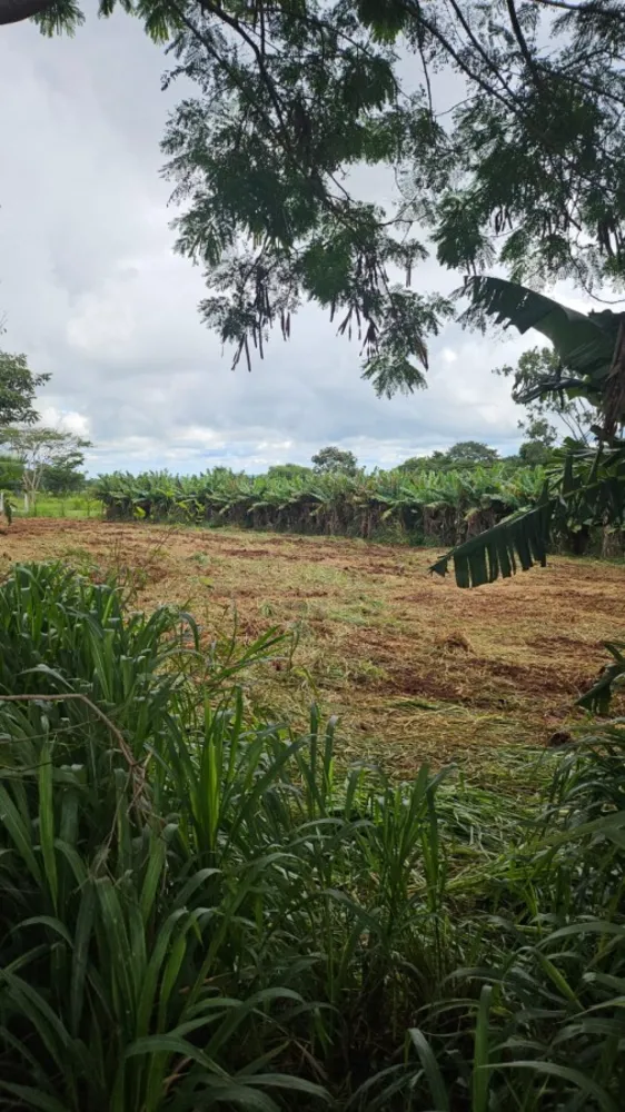 Chácara, 2 hectares - Foto 15