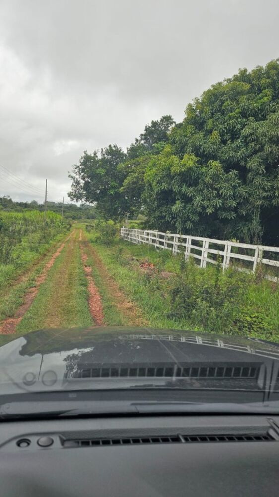 Chácara, 2 hectares - Foto 12