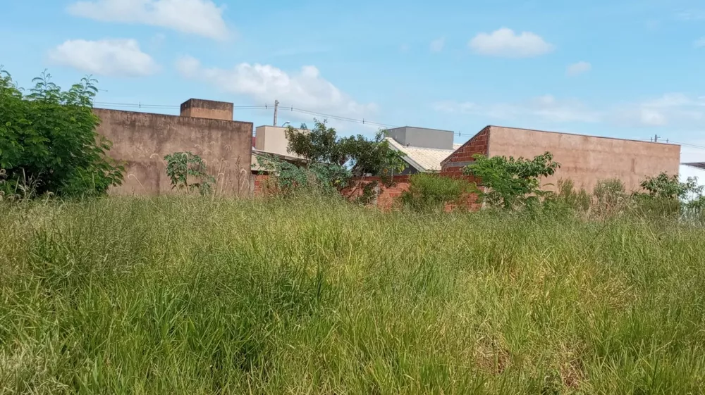 Terreno, 250 m² - Foto 1