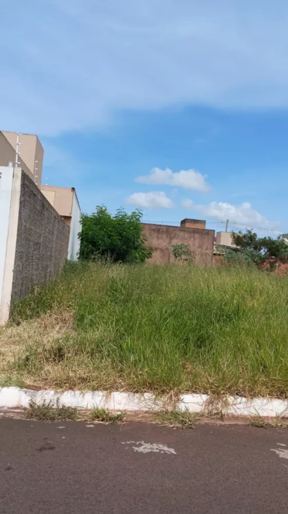 Terreno, 250 m² - Foto 2