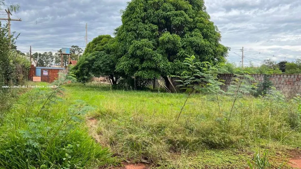 Casa, 2 quartos, 80 m² - Foto 6
