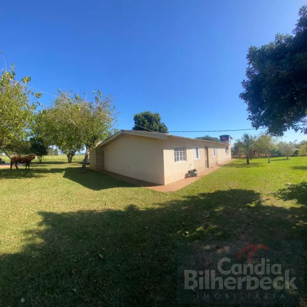 Chácara, 24 hectares - Foto 2