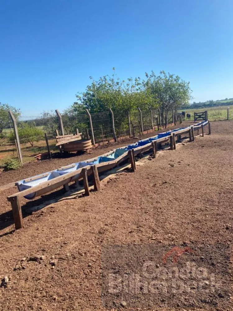 Chácara, 24 hectares - Foto 4